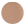 GRADIENT-brown-tortoise